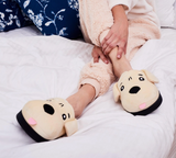 Coddies Labrador - Slippers
