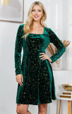Celestial Green Velvet Dress