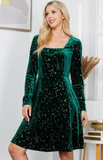 Celestial Green Velvet Dress