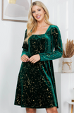 Celestial Green Velvet Dress