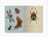 A5 Notebook -  Entomology