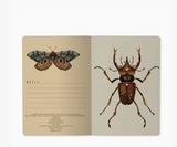 A5 Notebook -  Entomology