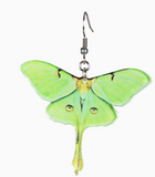 Green Acrylic Moth Earrings